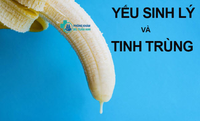 Yếu Sinh Lý Có Ảnh Hưởng Đến Tinh Trùng Không?